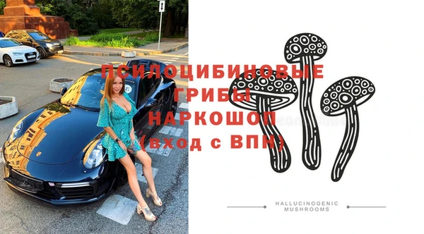 мяу мяу мука Богданович