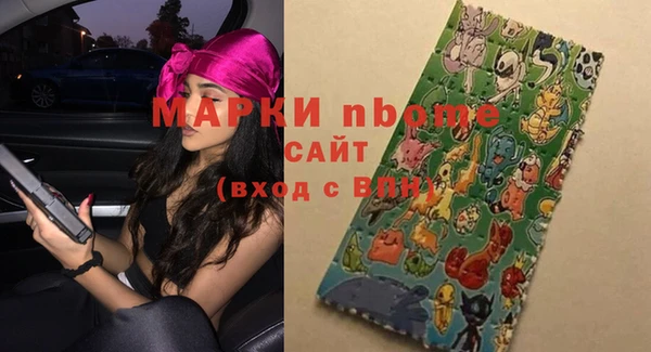 хмурый Богородицк