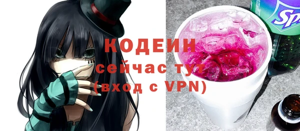 хмурый Богородицк