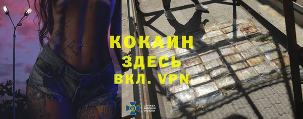 хмурый Богородицк