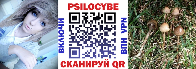 Псилоцибиновые грибы мухоморы  Тобольск 